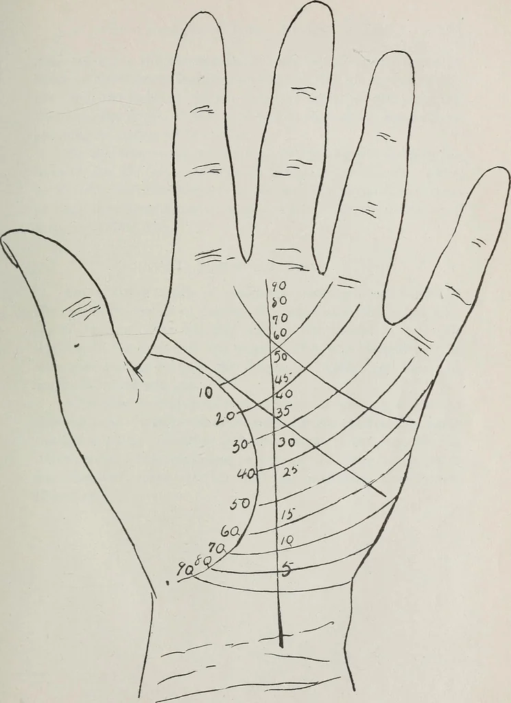 An illustration from Revelations of the hand. A scientific study of the shape and markings of the hand, as an index to character, disease, and tendencies, with explanatory illustrations, 1900, leaf 160