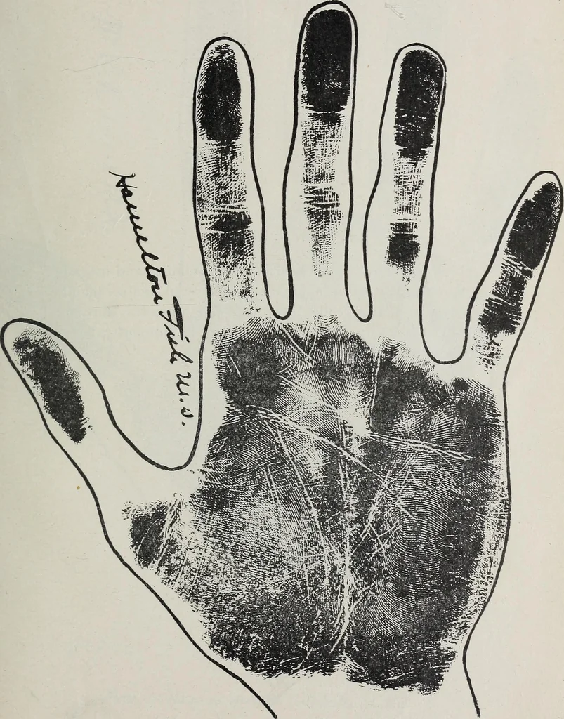 An illustration from Revelations of the hand. A scientific study of the shape and markings of the hand, as an index to character, disease, and tendencies, with explanatory illustrations, 1900, leaf 180