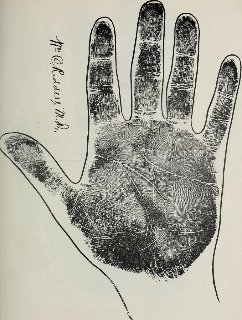 An illustration from Revelations of the hand. A scientific study of the shape and markings of the hand, as an index to character, disease, and tendencies, with explanatory illustrations, 1900, leaf 182