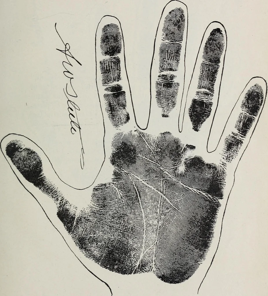 An illustration from Revelations of the hand. A scientific study of the shape and markings of the hand, as an index to character, disease, and tendencies, with explanatory illustrations, 1900, leaf 186