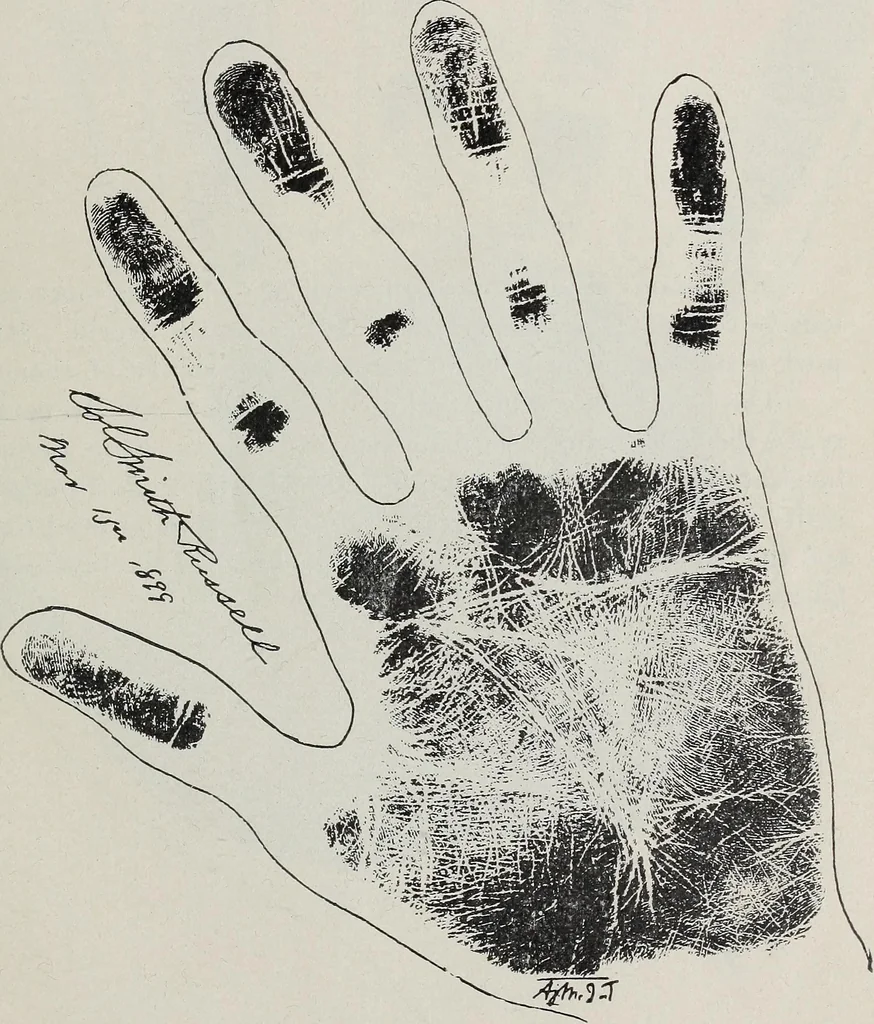 An illustration from Revelations of the hand. A scientific study of the shape and markings of the hand, as an index to character, disease, and tendencies, with explanatory illustrations, 1900, leaf 192