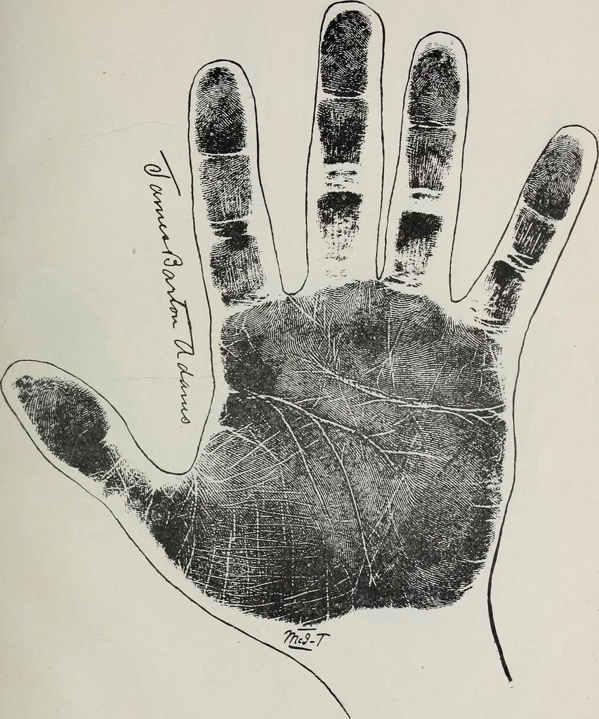 An illustration from Revelations of the hand. A scientific study of the shape and markings of the hand, as an index to character, disease, and tendencies, with explanatory illustrations, 1900, leaf 194