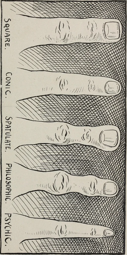 An illustration from Revelations of the hand. A scientific study of the shape and markings of the hand, as an index to character, disease, and tendencies, with explanatory illustrations, 1900, leaf 58