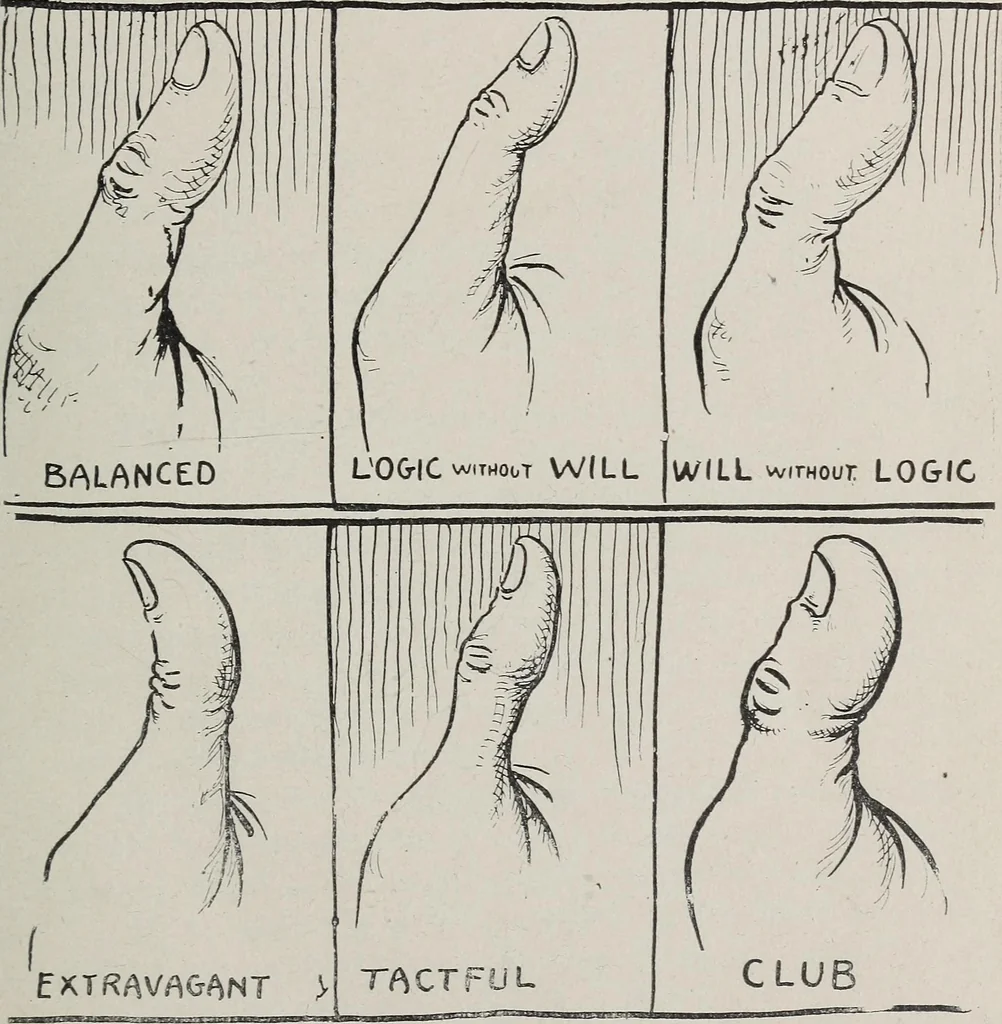 An illustration from Revelations of the hand. A scientific study of the shape and markings of the hand, as an index to character, disease, and tendencies, with explanatory illustrations, 1900, leaf 62