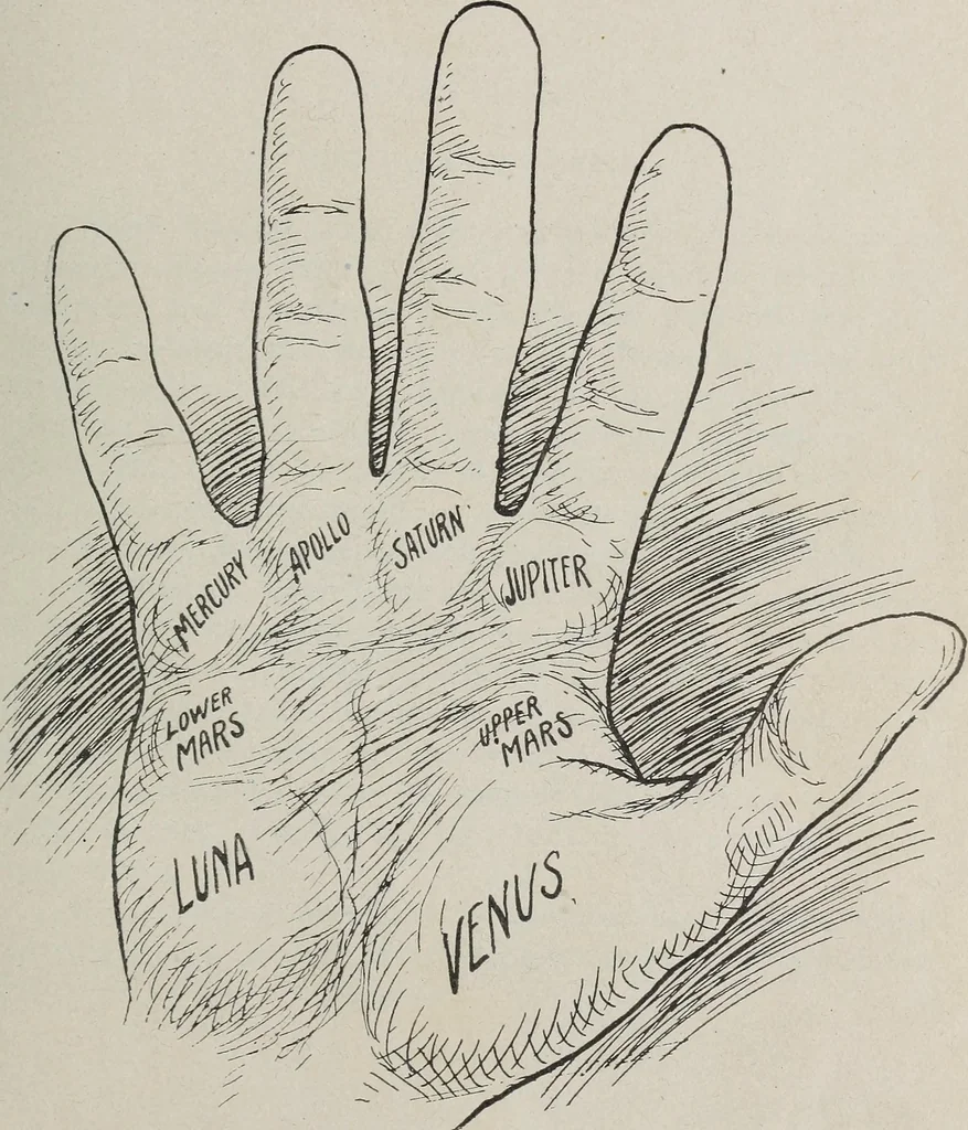 An illustration from Revelations of the hand. A scientific study of the shape and markings of the hand, as an index to character, disease, and tendencies, with explanatory illustrations, 1900, leaf 76