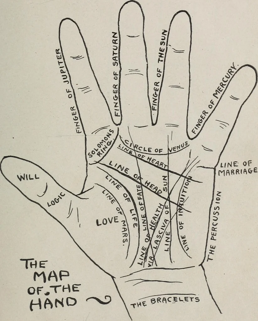 An illustration from Revelations of the hand. A scientific study of the shape and markings of the hand, as an index to character, disease, and tendencies, with explanatory illustrations, 1900, leaf 84