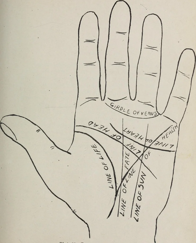 An illustration from Revelations of the hand. A scientific study of the shape and markings of the hand, as an index to character, disease, and tendencies, with explanatory illustrations, 1900, leaf 86
