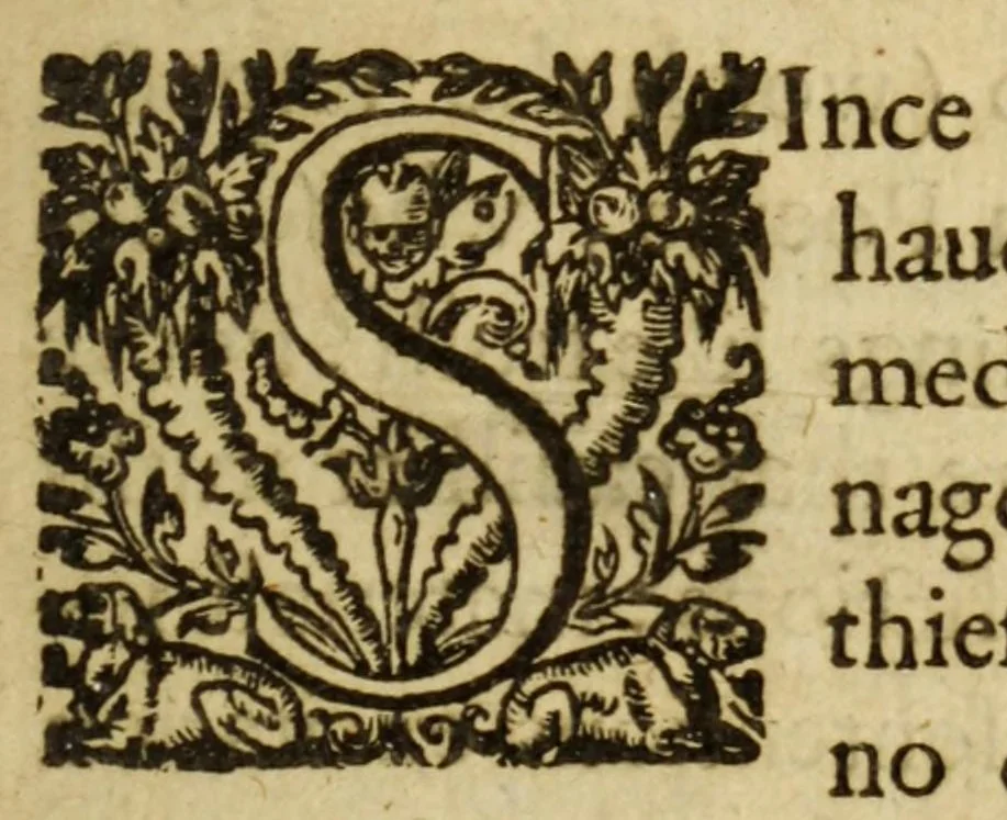 An illustration from The reuenge of Bussy D'Ambois : a tragedie as it hath beene often presented at the priuate play-house in the White-Fryers, 1613, leaf 9