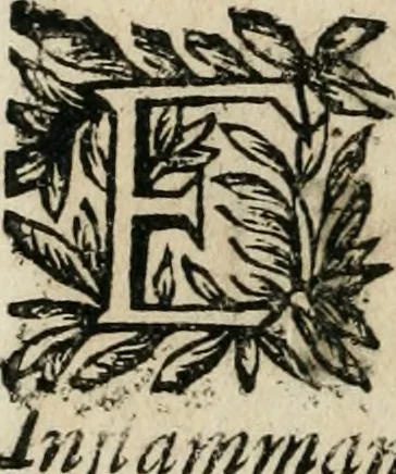 An illustration from Reverendissimi patris Fr. Francisci de Macedo ... Carmina selecta, 1683, leaf 155