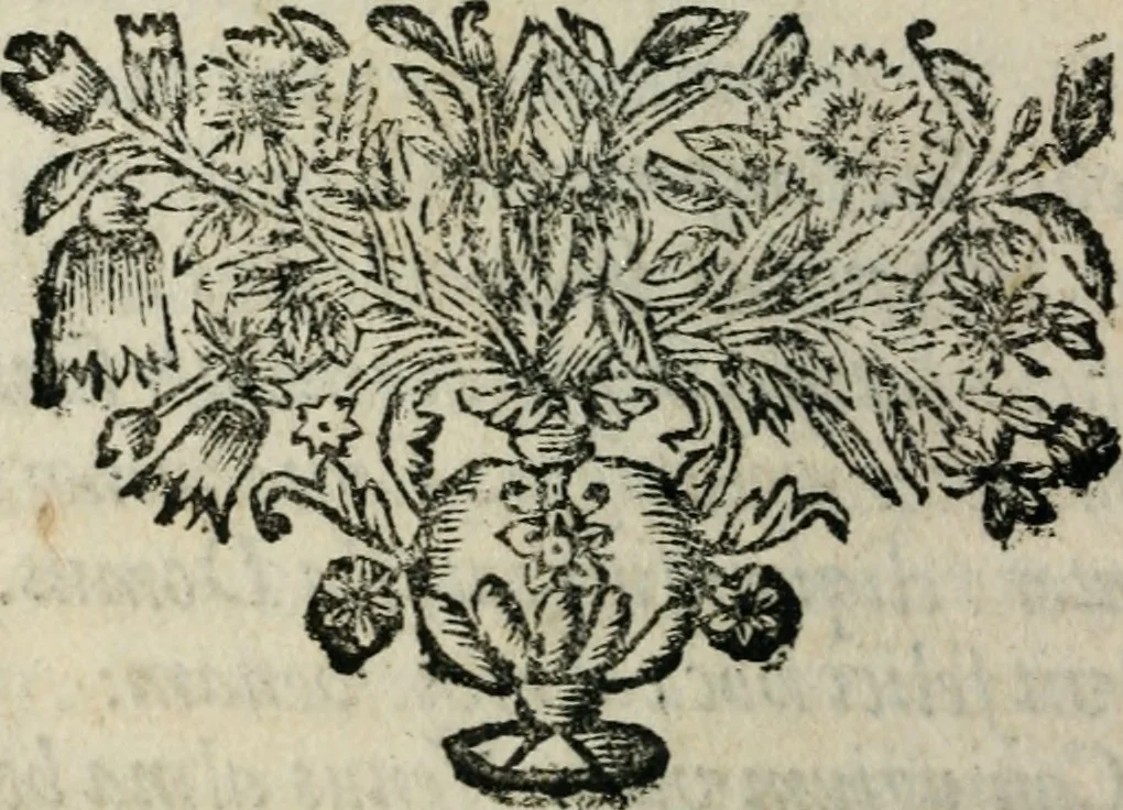 An illustration from Reverendissimi patris Fr. Francisci de Macedo ... Carmina selecta, 1683, leaf 185