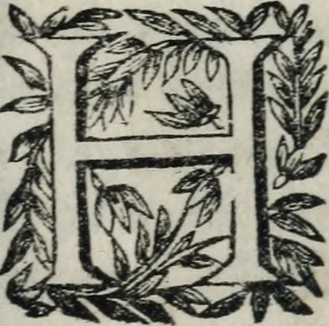 An illustration from Reverendissimi patris Fr. Francisci de Macedo ... Carmina selecta, 1683, leaf 206