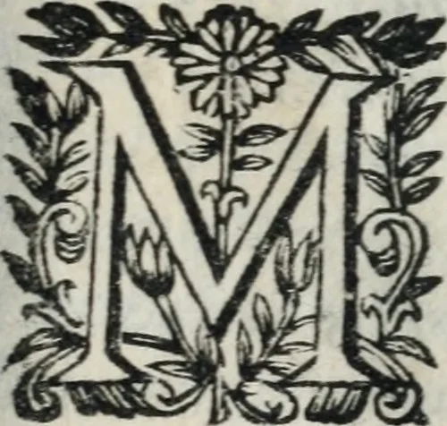 An illustration from Reverendissimi patris Fr. Francisci de Macedo ... Carmina selecta, 1683, leaf 252