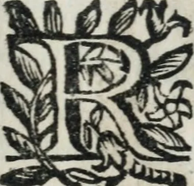 An illustration from Reverendissimi patris Fr. Francisci de Macedo ... Carmina selecta, 1683, leaf 256