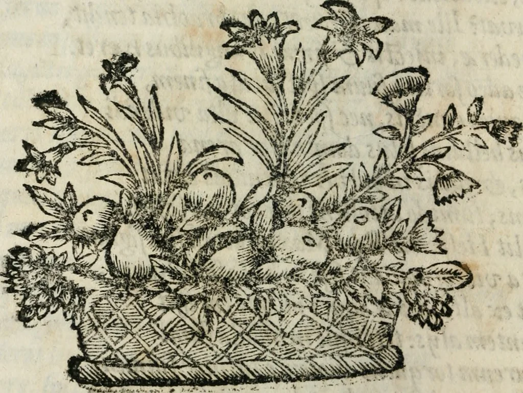 An illustration from Reverendissimi patris Fr. Francisci de Macedo ... Carmina selecta, 1683, leaf 299