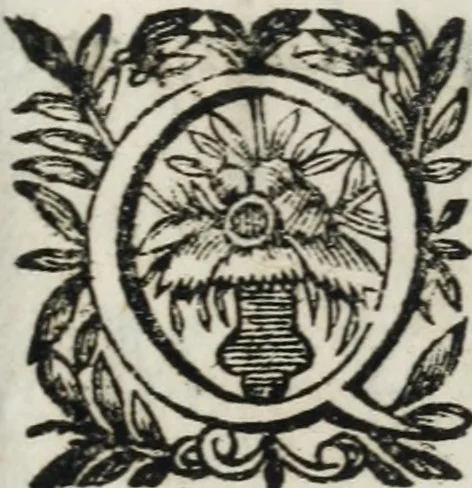 An illustration from Reverendissimi patris Fr. Francisci de Macedo ... Carmina selecta, 1683, leaf 302