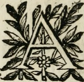 An illustration from Reverendissimi patris Fr. Francisci de Macedo ... Carmina selecta, 1683, leaf 307