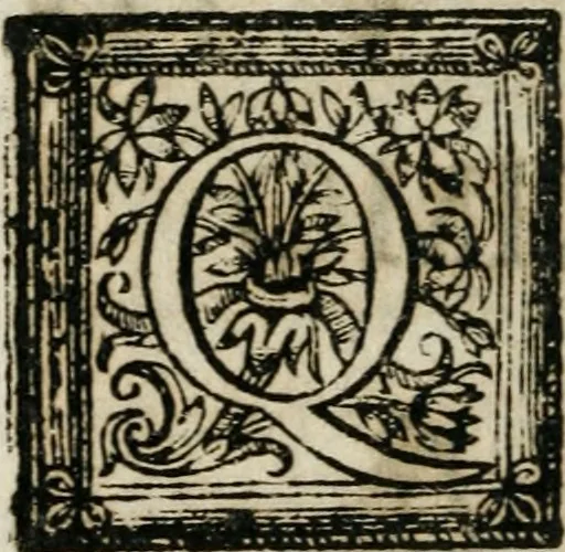 An illustration from Reverendissimi patris Fr. Francisci de Macedo ... Carmina selecta, 1683, leaf 37