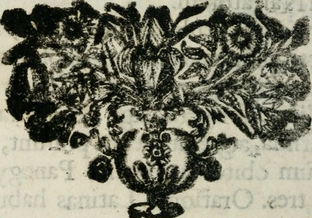 An illustration from Reverendissimi patris Fr. Francisci de Macedo ... Carmina selecta, 1683, leaf 433