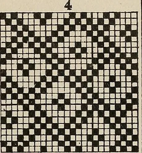 An illustration from Revised edition of Textile design book. A practical composition for the construction of new designs, 1898, leaf 108
