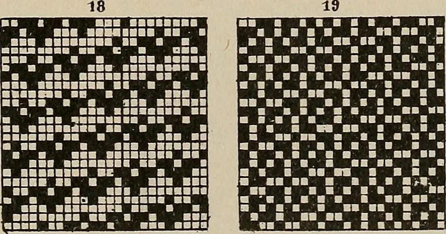 An illustration from Revised edition of Textile design book. A practical composition for the construction of new designs, 1898, leaf 110