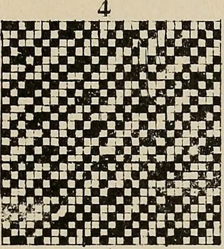 An illustration from Revised edition of Textile design book. A practical composition for the construction of new designs, 1898, leaf 116