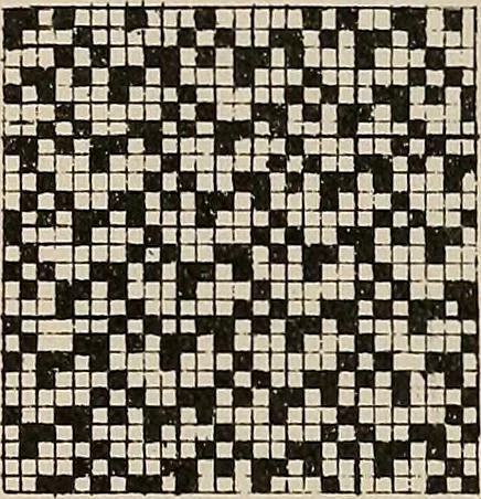 An illustration from Revised edition of Textile design book. A practical composition for the construction of new designs, 1898, leaf 116