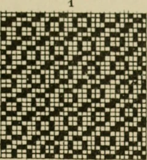 An illustration from Revised edition of Textile design book. A practical composition for the construction of new designs, 1898, leaf 126