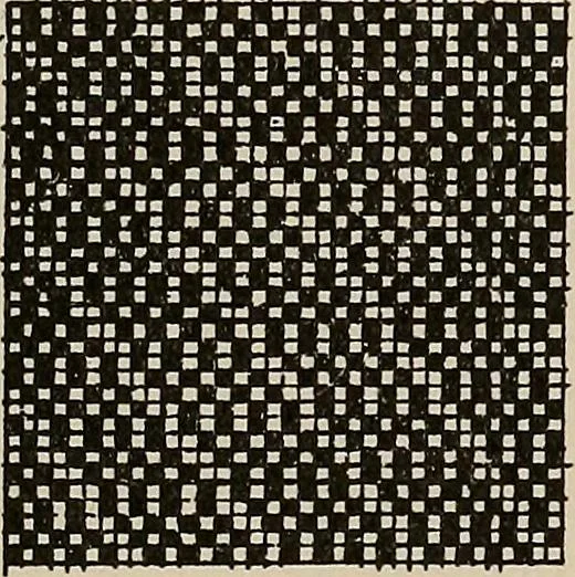 An illustration from Revised edition of Textile design book. A practical composition for the construction of new designs, 1898, leaf 136
