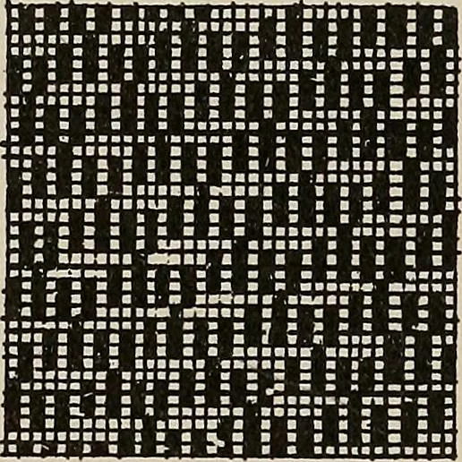 An illustration from Revised edition of Textile design book. A practical composition for the construction of new designs, 1898, leaf 136