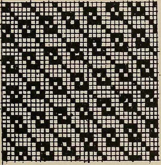 An illustration from Revised edition of Textile design book. A practical composition for the construction of new designs, 1898, leaf 138