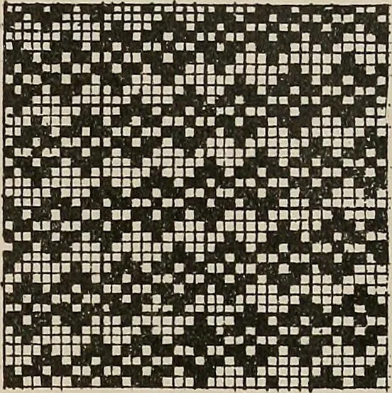 An illustration from Revised edition of Textile design book. A practical composition for the construction of new designs, 1898, leaf 140