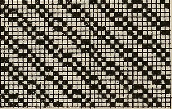 An illustration from Revised edition of Textile design book. A practical composition for the construction of new designs, 1898, leaf 142