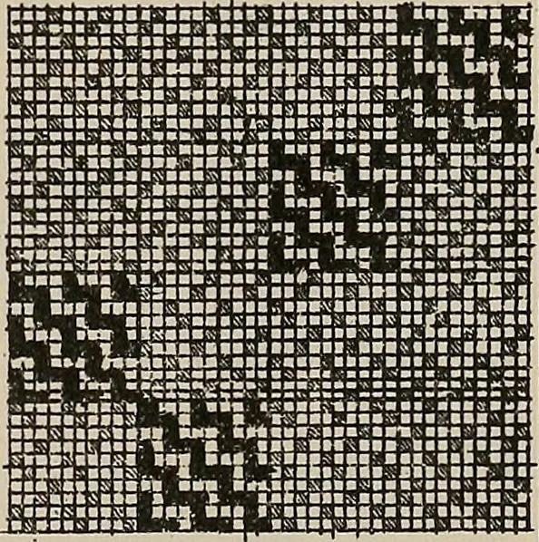 An illustration from Revised edition of Textile design book. A practical composition for the construction of new designs, 1898, leaf 148