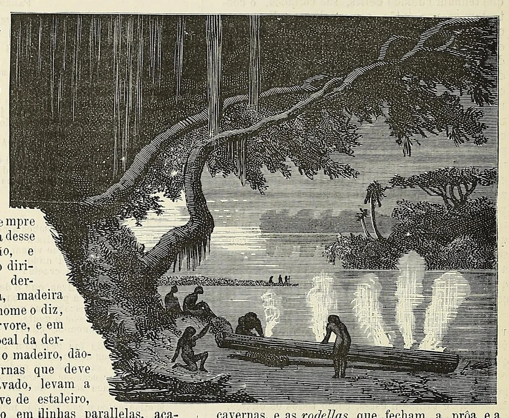An illustration from Revista da exposição anthropologica brazileira;, 1882, leaf 108