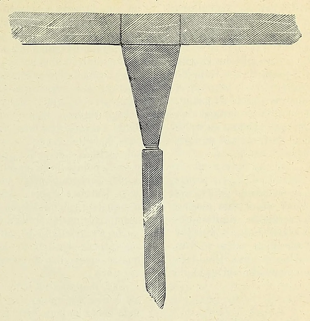 An illustration from Revista da exposição anthropologica brazileira;, 1882, leaf 177