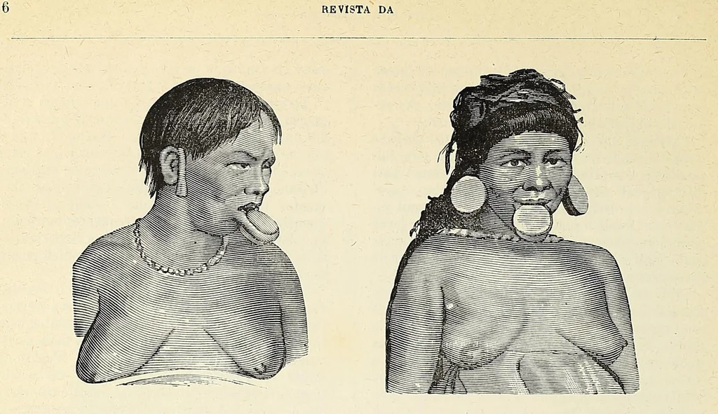 An illustration from Revista da exposição anthropologica brazileira;, 1882, leaf 26