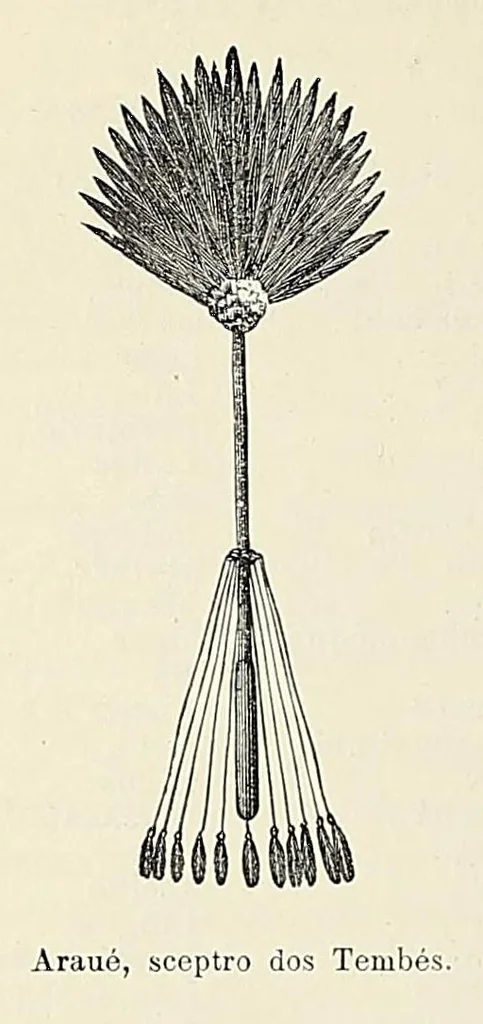 An illustration from Revista da exposição anthropologica brazileira;, 1882, leaf 52