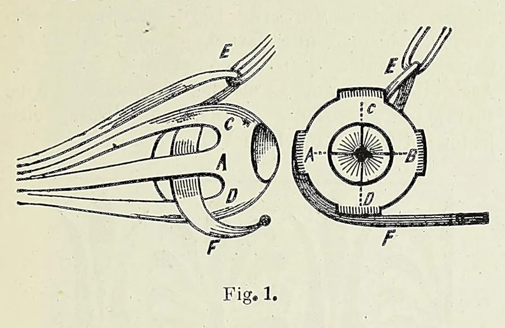 An illustration from Revista da exposição anthropologica brazileira;, 1882, leaf 63