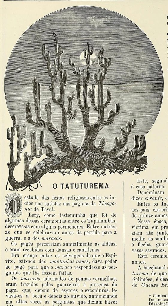 An illustration from Revista da exposição anthropologica brazileira;, 1882, leaf 78