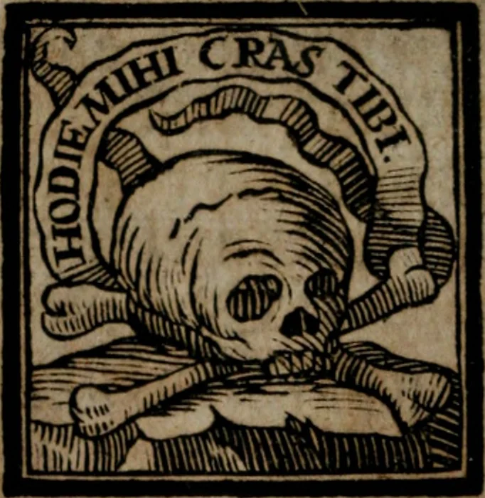 An illustration from Rev. P. Abraham a S. Clara ... Besonders meubliert- und gezierte Todten-Capelle, oder, Allgemeiner Todten-Spiegel : darinnen alle Menschen, wes Standes sie sind ..., 1711, leaf 119