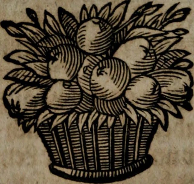 An illustration from Rev. P. Abraham a S. Clara ... Besonders meubliert- und gezierte Todten-Capelle, oder, Allgemeiner Todten-Spiegel : darinnen alle Menschen, wes Standes sie sind ..., 1711, leaf 159