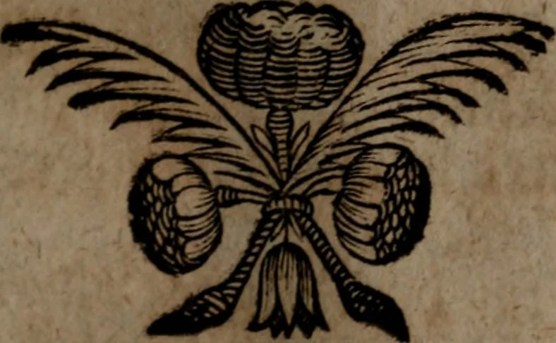 An illustration from Rev. P. Abraham a S. Clara ... Besonders meubliert- und gezierte Todten-Capelle, oder, Allgemeiner Todten-Spiegel : darinnen alle Menschen, wes Standes sie sind ..., 1711, leaf 214