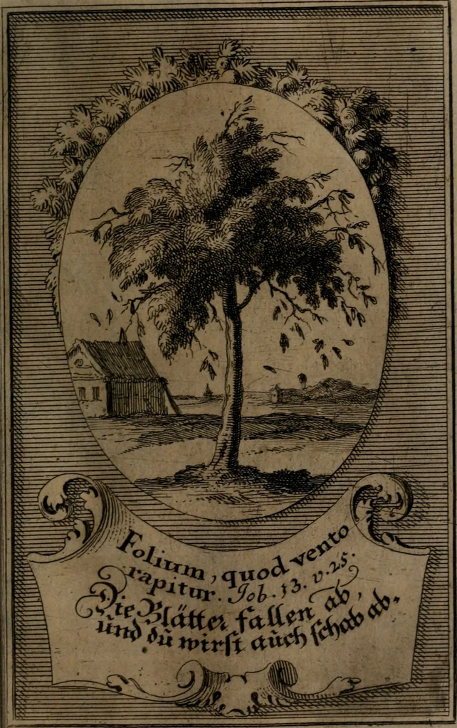 An illustration from Rev. P. Abraham a S. Clara ... Besonders meubliert- und gezierte Todten-Capelle, oder, Allgemeiner Todten-Spiegel : darinnen alle Menschen, wes Standes sie sind ..., 1711, leaf 406