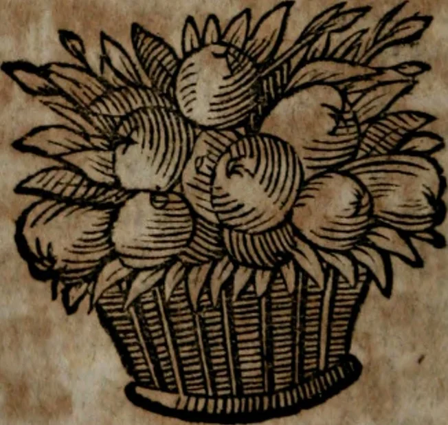 An illustration from Rev. P. Abraham a S. Clara ... Besonders meubliert- und gezierte Todten-Capelle, oder, Allgemeiner Todten-Spiegel : darinnen alle Menschen, wes Standes sie sind ..., 1711, leaf 411