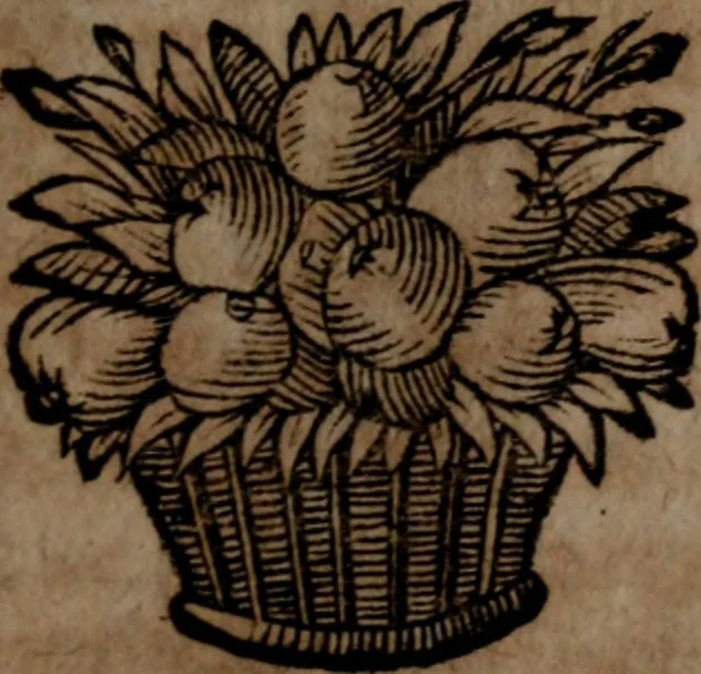 An illustration from Rev. P. Abraham a S. Clara ... Besonders meubliert- und gezierte Todten-Capelle, oder, Allgemeiner Todten-Spiegel : darinnen alle Menschen, wes Standes sie sind ..., 1711, leaf 500