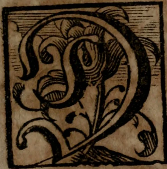 An illustration from Rev. P. Abraham a S. Clara ... Besonders meubliert- und gezierte Todten-Capelle, oder, Allgemeiner Todten-Spiegel : darinnen alle Menschen, wes Standes sie sind ..., 1711, leaf 72