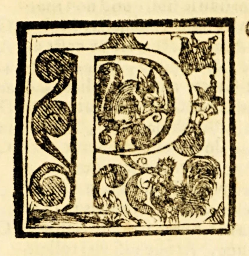 An illustration from Rev. Patris Fr. Alphonsi a Vera Cruce Hispani ordinis eremitarum S. Augustini. Et in primaria cathedra Mexicanae vniuersitatis s. theologiae doctoris. Speculum coniugiorum, cum Appendice, 1599, leaf 187