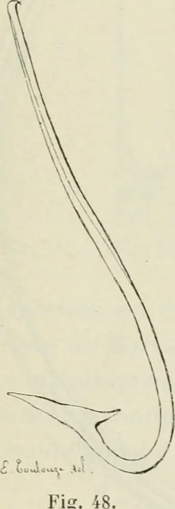 An illustration from Revue archéologique, 1844, leaf 197