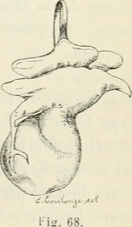 An illustration from Revue archéologique, 1844, leaf 200