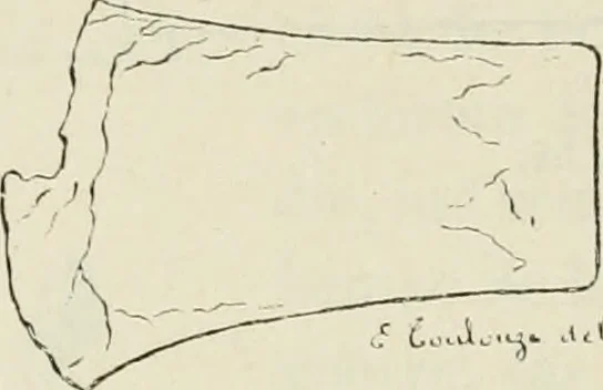 An illustration from Revue archéologique, 1844, leaf 201